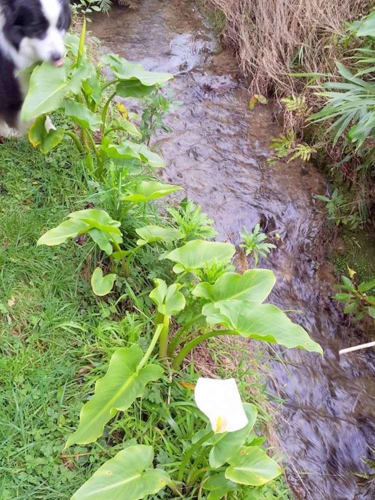 5820 Kenepuru Road Kenepuru Sound_17