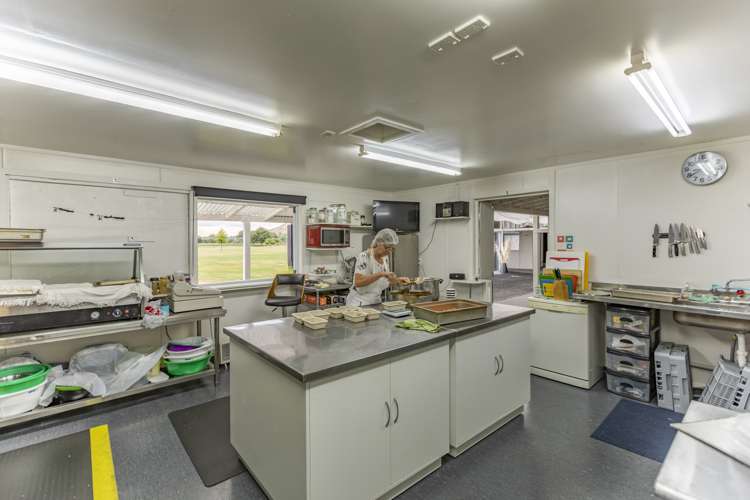 797 Pourerere Road Central Hawkes Bay Coastal_11