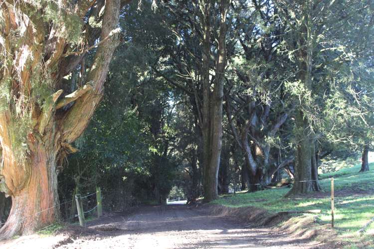 109 Vaughan Road Takapau_12