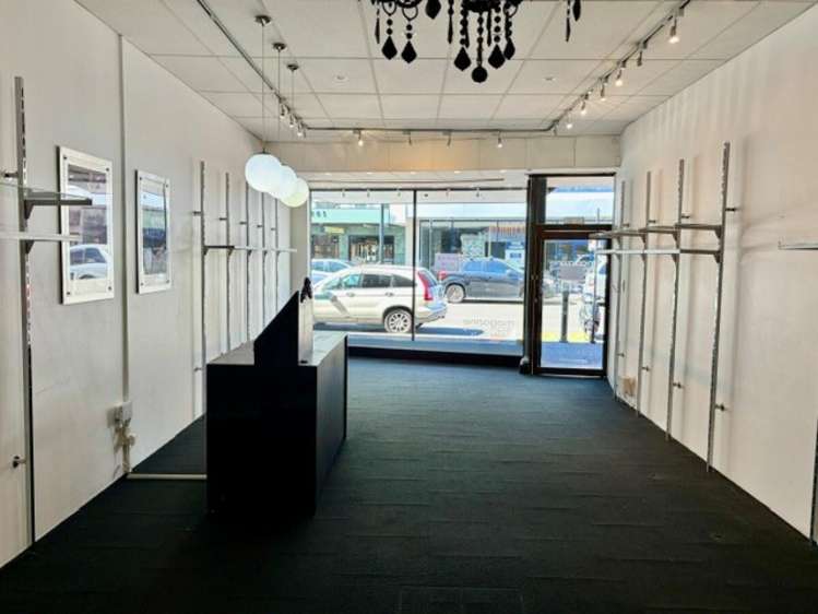 119 Hastings Street Napier South_3