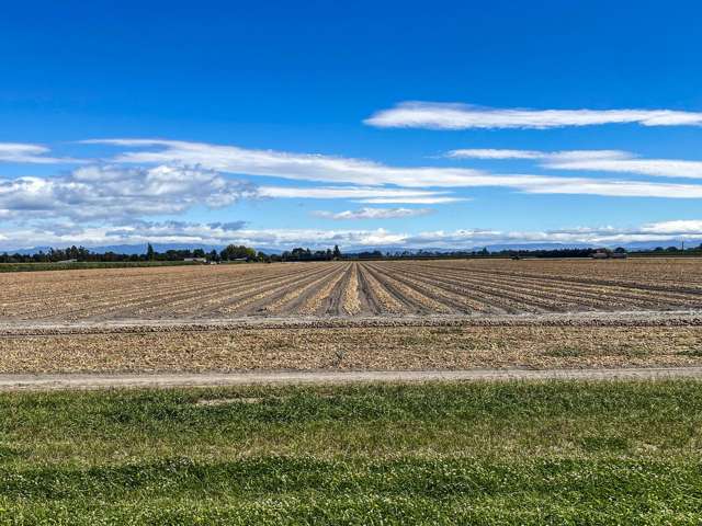 1355 Railway Road South and 656 Te Aute Road Longlands_4