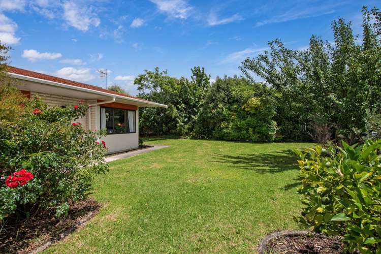 28C Elizabeth Street Kensington_14