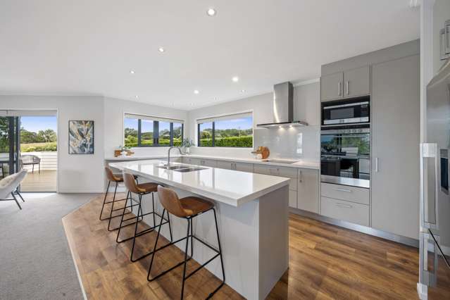 194 Logan Road Pukekohe_3