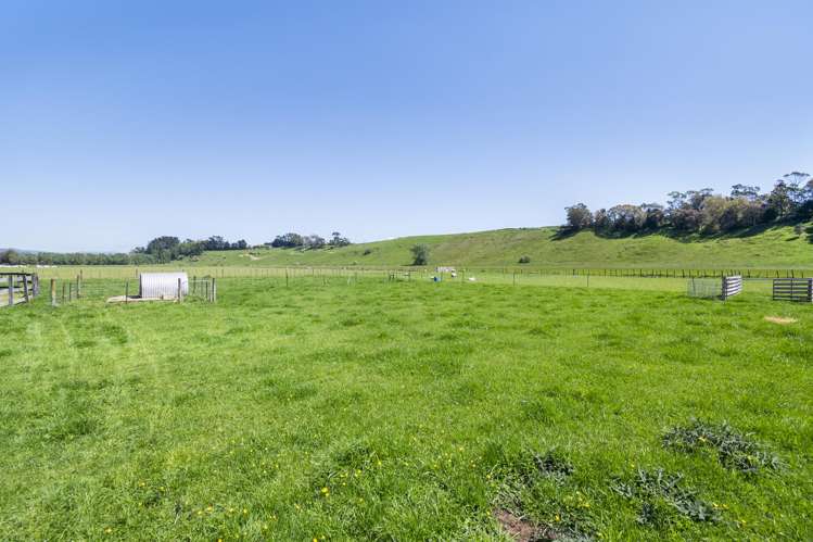 97 Pohangina Road Ashhurst_30