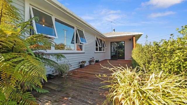 8 Daphne Street Outer Kaiti_2