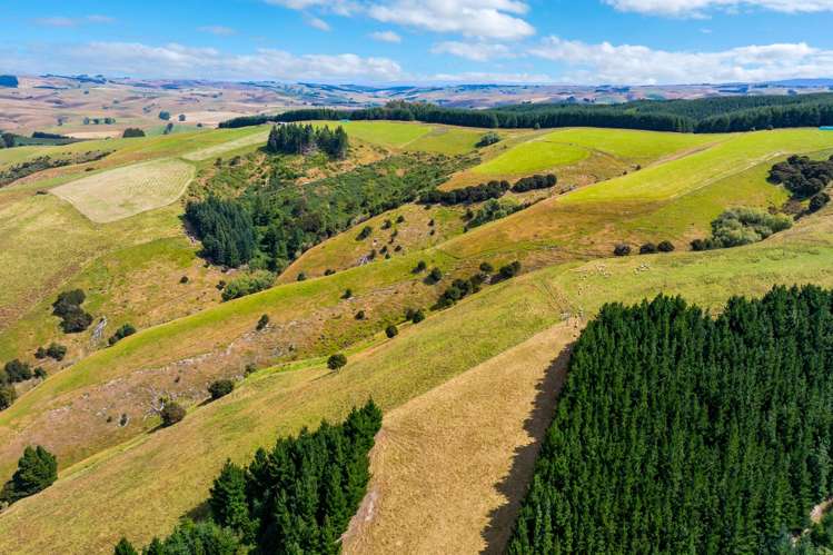 00 Blue Spur Road, Gabriels Gully Lawrence_30