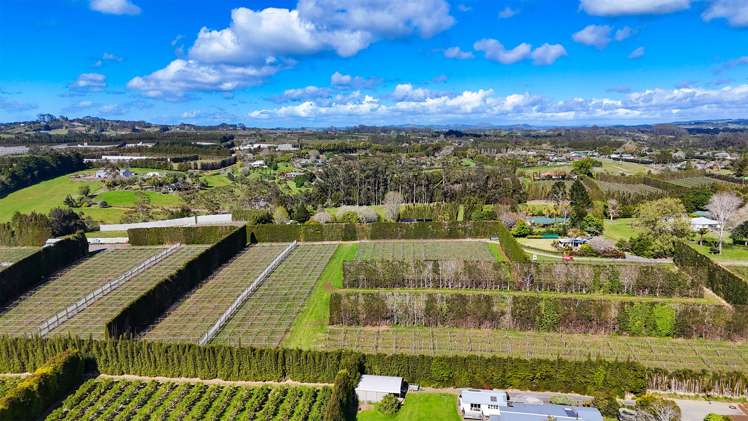 387 Kerikeri Road Kerikeri_9