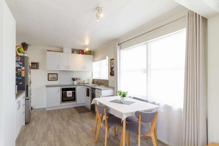 47 Bristol Street Tamatea_6