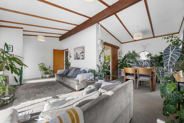 10 Hewlett Road Massey_10