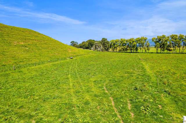 0n Mangorei Road New Plymouth_4