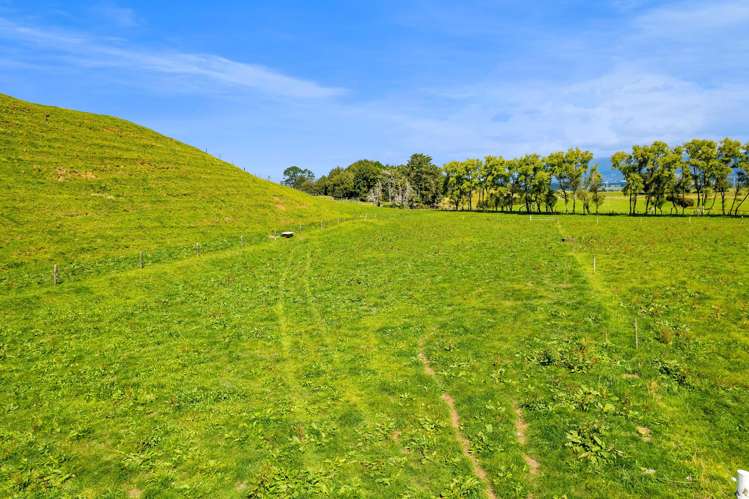 0n Mangorei Road New Plymouth_4