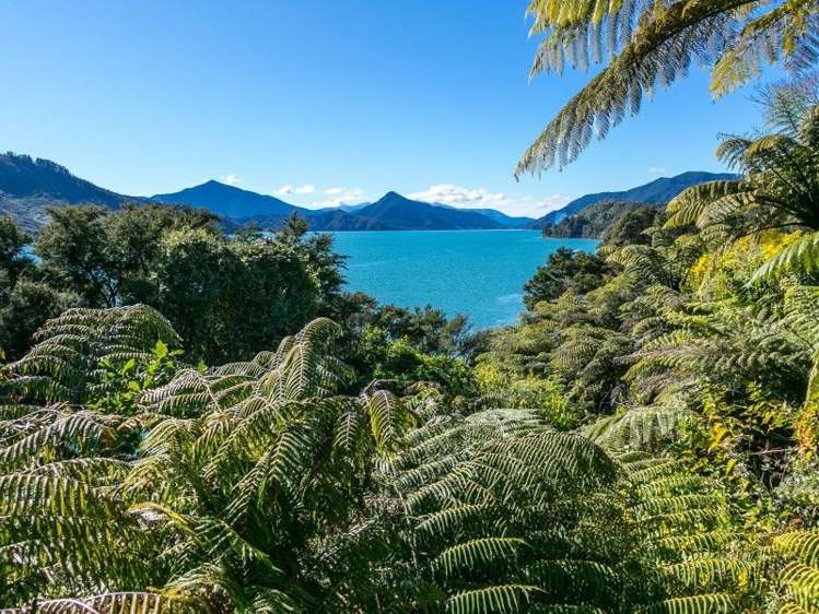 528 Moetapu Bay Road Anakiwa and Surrounds_17