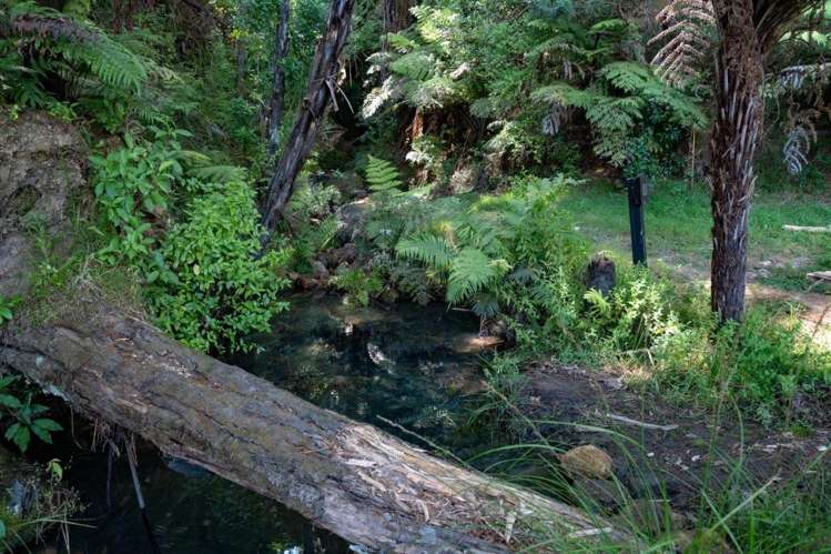 671 Hikuai Settlement Road Pauanui_27