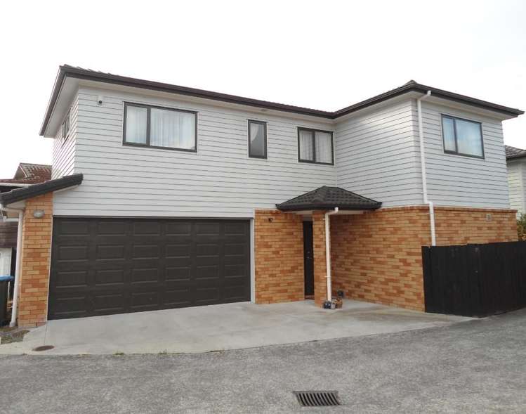 17c Methuen Road Avondale_0