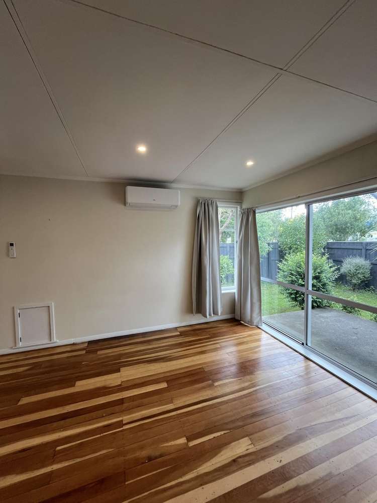 73 Mulgrave Street Ashhurst_7