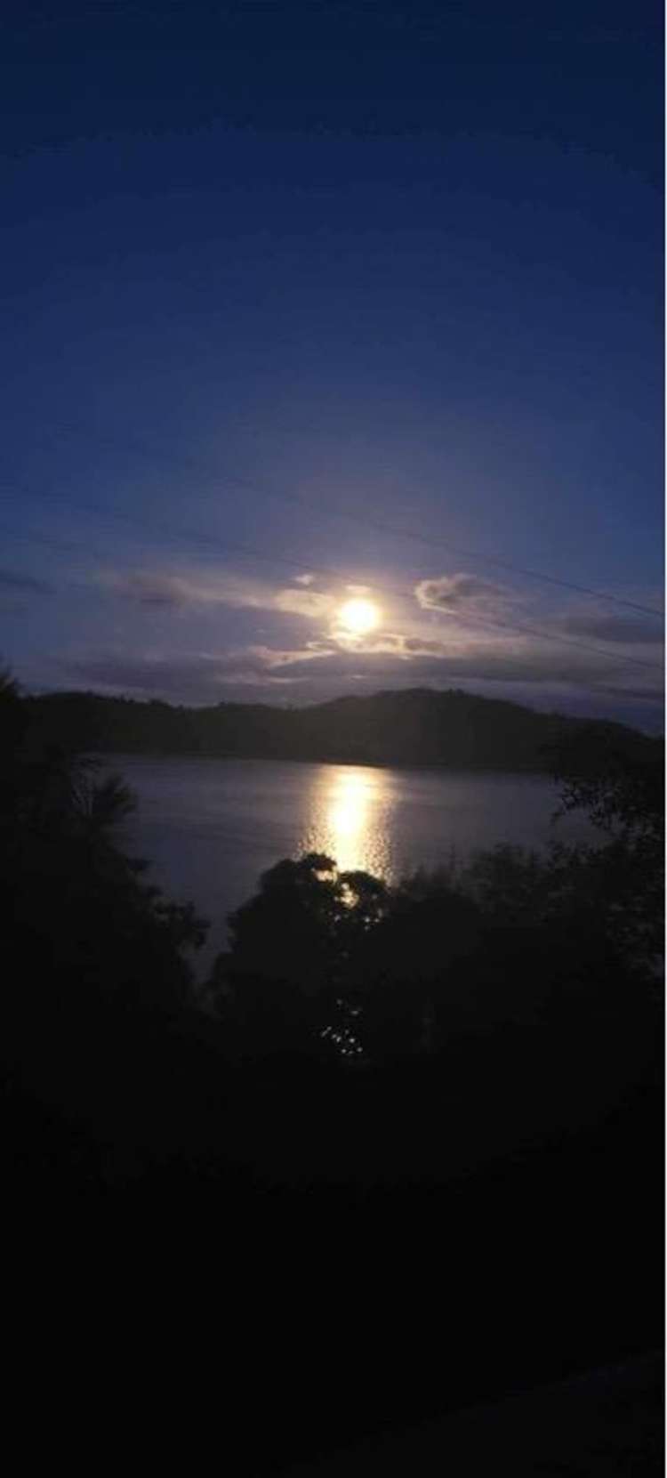 319 State Highway 30 Lake Rotoma_19