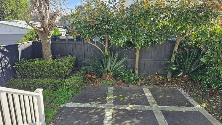 206 Campbell Road Greenlane_24