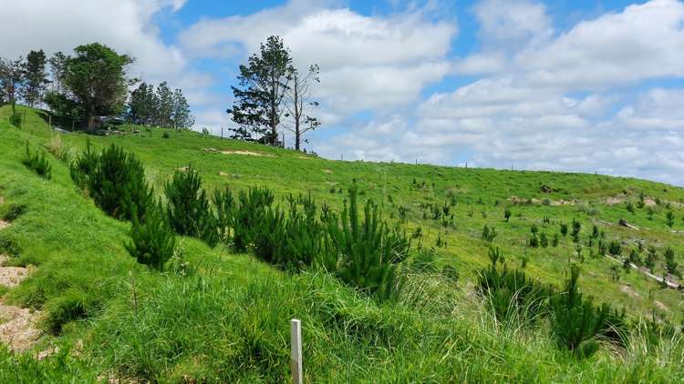 Lot 7/49 Kamea Place_3