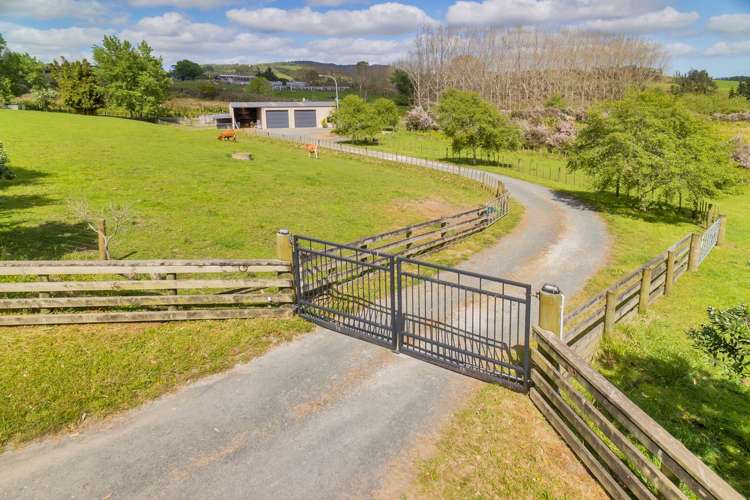 84 Streamlands Swamp Road Kaipara Flats_6