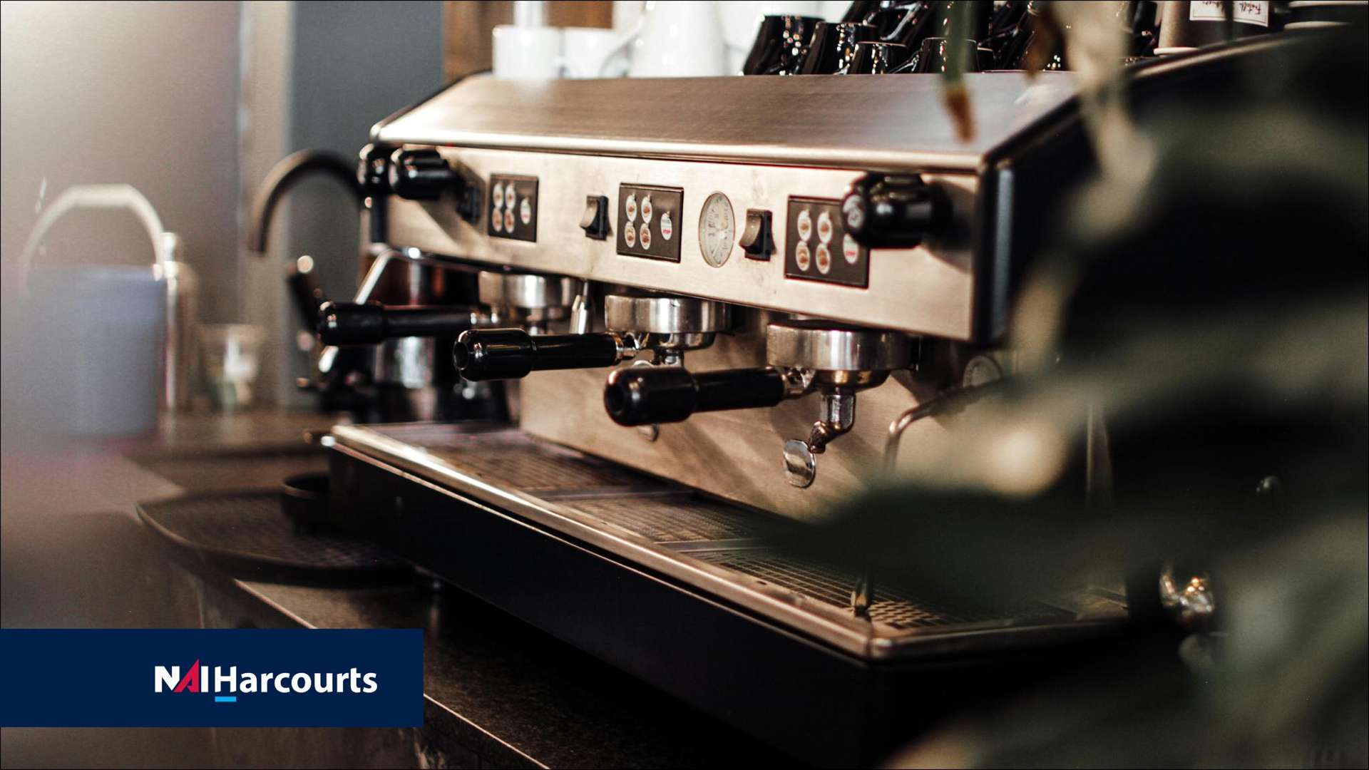 Daytime Cafe Christchurch_0