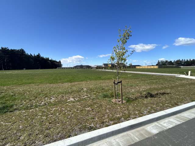 22 Arrowsmith Drive Methven_3