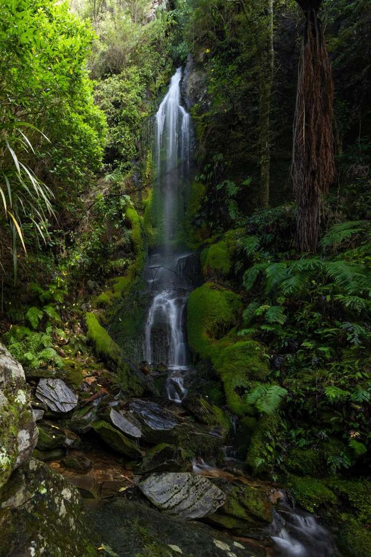 4710 Kenepuru Road Marlborough Sounds_11