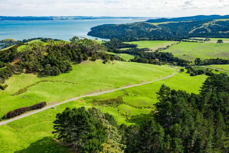 1188e Tinopai Road Tinopai_8