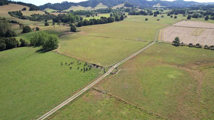 966 Te Ahu Ahu Road Kerikeri Surrounds_11