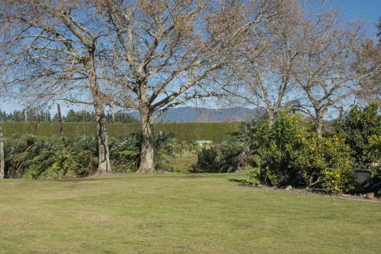 10 Bransley Grove Katikati_12