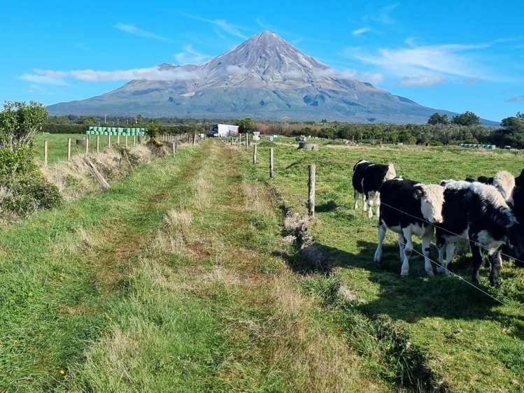 584 York Road Midhirst_2