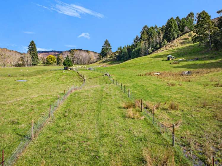 170 Glenrae Road Tapawera_22