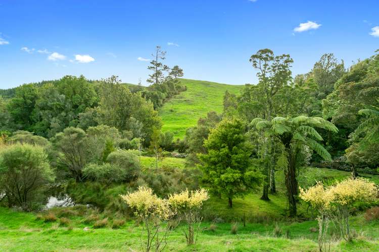 350 Te Tahi Road Puketotara_6