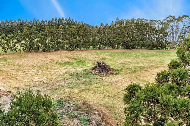 LIFESTYLE BLOCK WITH INCOME POTENTIAL