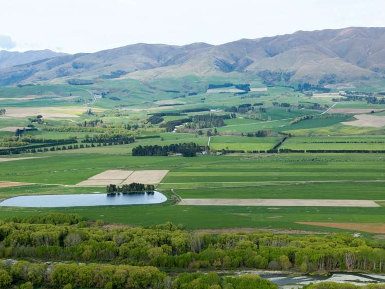 276 Talbot Road Fairlie_9