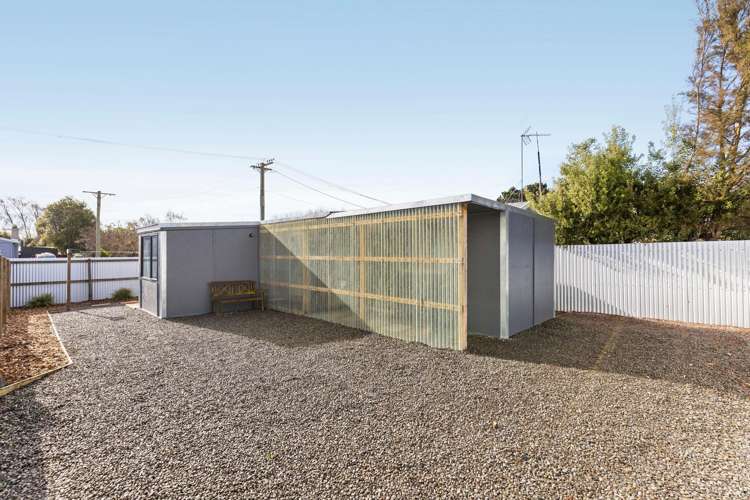 5 Seddon Street Kainga_6