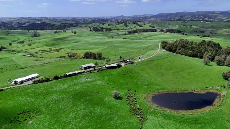 291 Prictor Road Wellsford_3