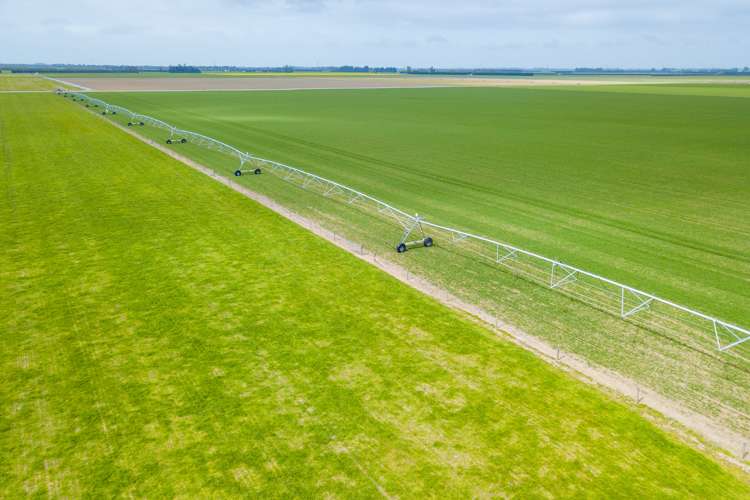 362 Fairfield Road Newland_11