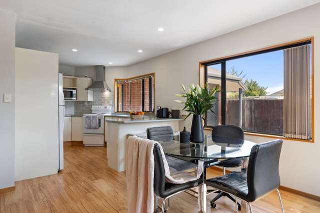 3A Worthy Street Ilam_4