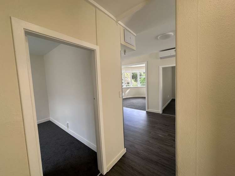 3/20 St Michaels Crescent Kelburn_7