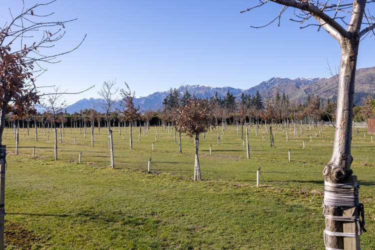 118 Lachlan Avenue Hawea Flat_28