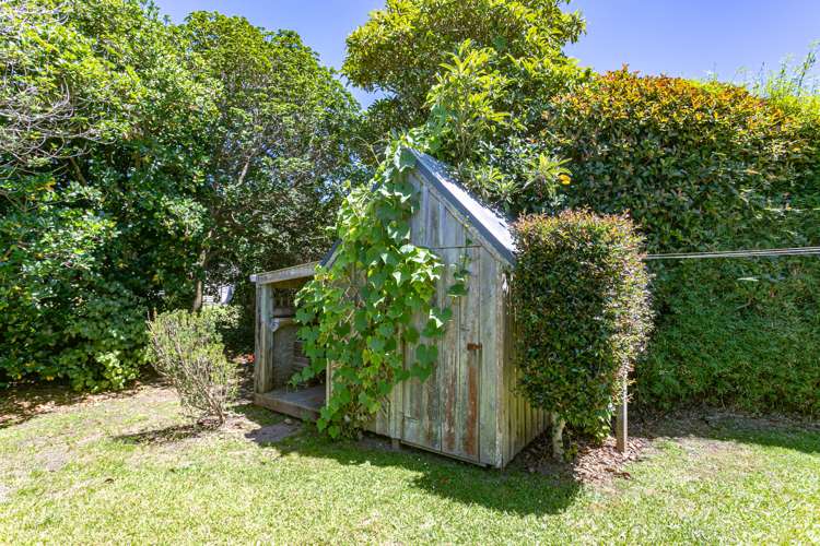 35 Michelle Lane Hahei_23