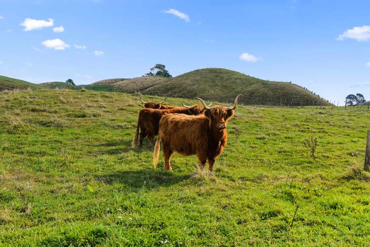 696b Poutakataka Road Atiamuri_29