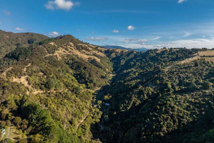 117 Little Todd Valley Road Todds Valley_25