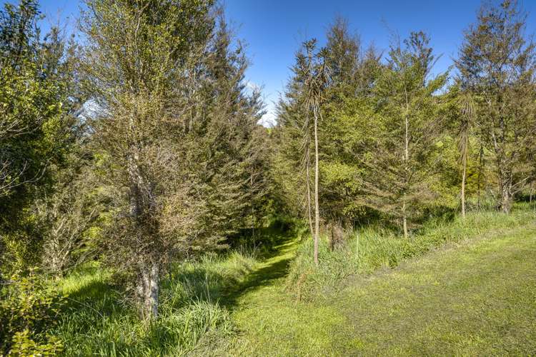 135 Willowford Road Waiwhare_24