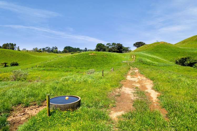 165 Sealy Road Omata_24