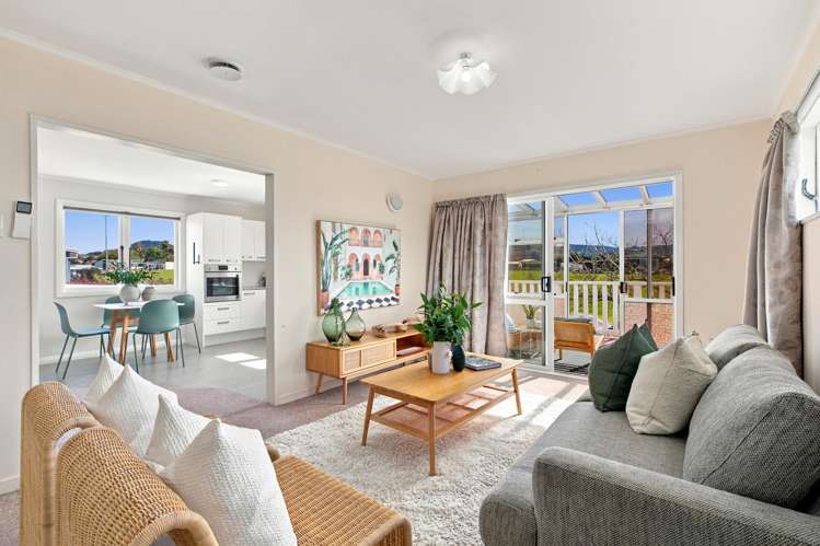 11 Gray Avenue Te Puke_7