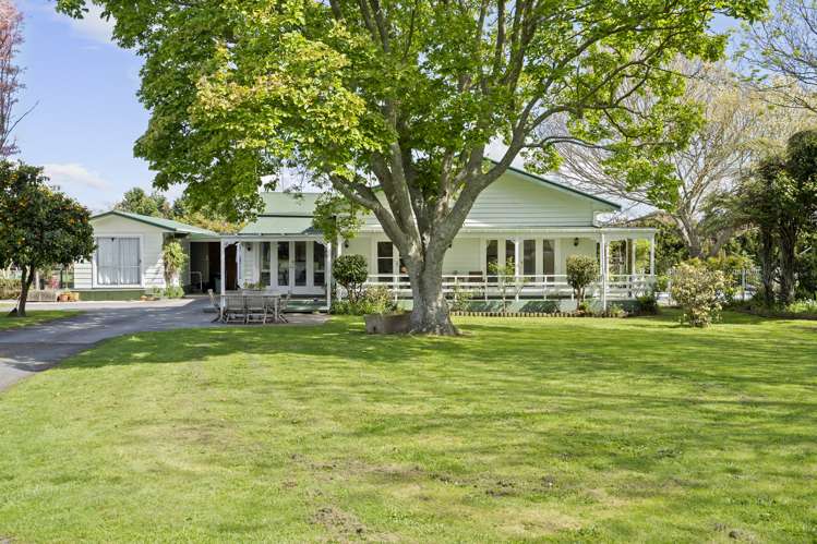 73 Massey Road Rotoorangi_16