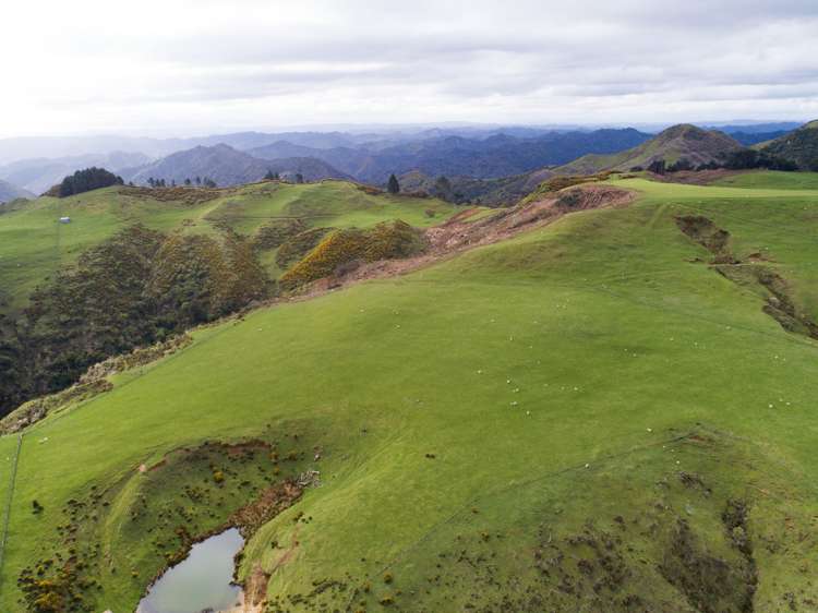 820 Rangitatau West Road Waitotara_18