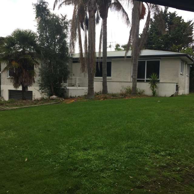 4 Maranui Street 11229_1