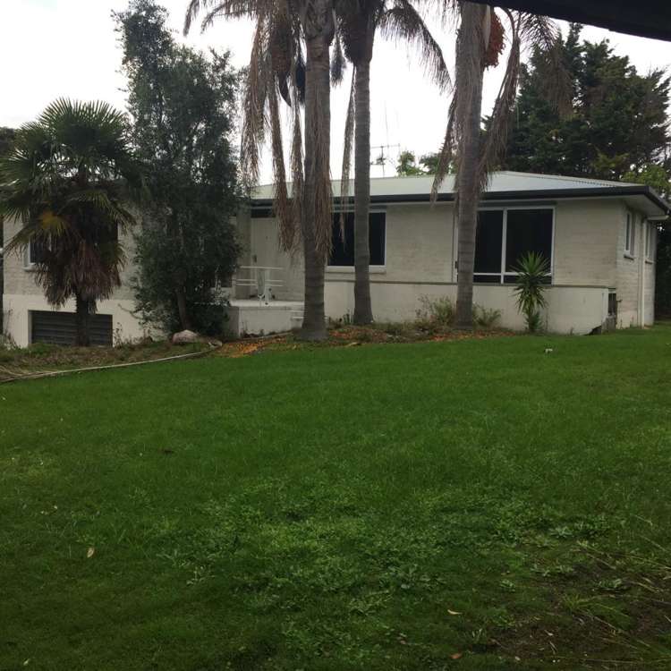 4 Maranui Street 11229_1